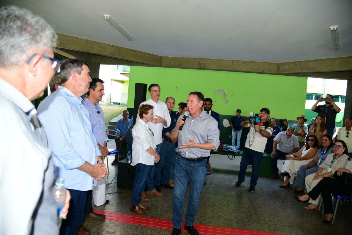 Imagem da Galeria